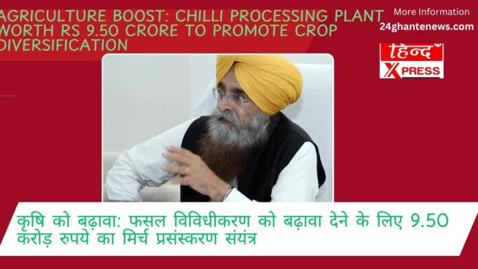Agriculture boost: Chilli processing plant worth Rs 9.50 crore to promote crop diversification