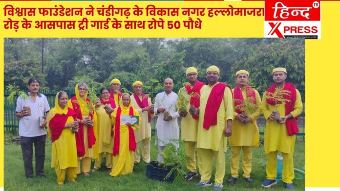 विश्वास फाउंडेशन ने चंडीगढ़ के विकास नगर हल्लोमाजरा रोड़ के आसपास ट्री गार्ड के साथ रोपे 50 पौधे
