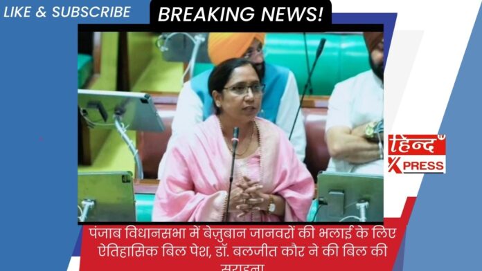 पंजाब विधानसभा में बेज़ुबान जानवरों की भलाई के लिए ऐतिहासिक बिल पेश, डॉ. बलजीत कौर ने की बिल की सराहना