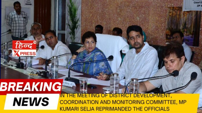 In the meeting of District Development, Coordination and Monitoring Committee, MP Kumari Selja reprimanded the officials
