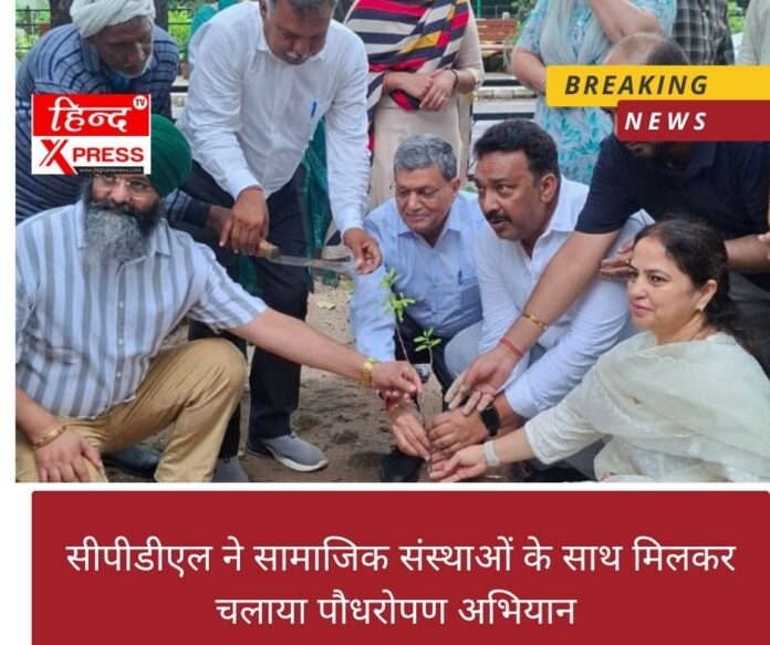 सीपीडीएल ने सामाजिक संस्थाओं के साथ मिलकर चलाया पौधरोपण अभियान 