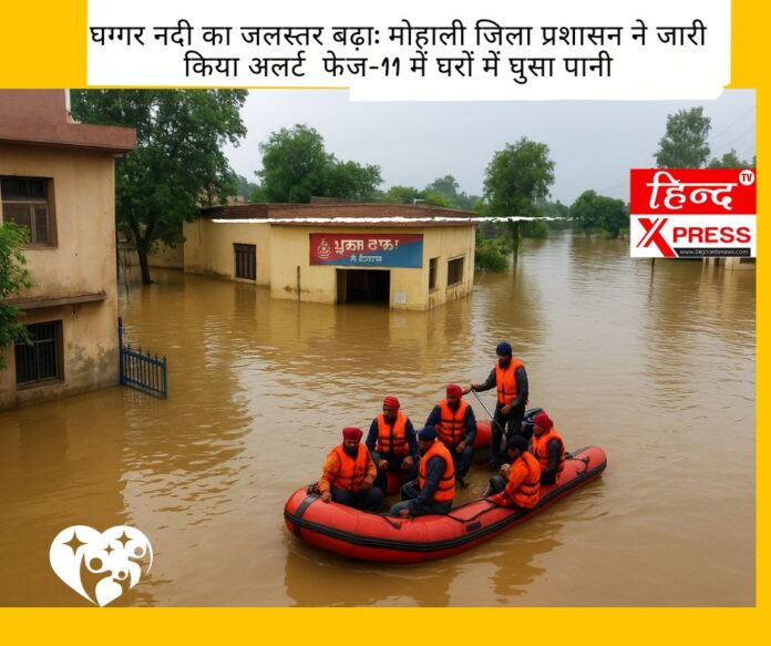 घग्गर नदी का जलस्तर बढ़ा: मोहाली जिला प्रशासन ने जारी किया अलर्ट  फेज-11 में घरों में घुसा पानी