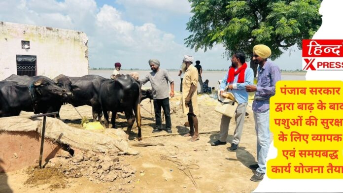 पंजाब सरकार द्वारा बाढ़ के बाद पशुओं की सुरक्षा के लिए व्यापक एवं समयबद्ध कार्य योजना तैयार