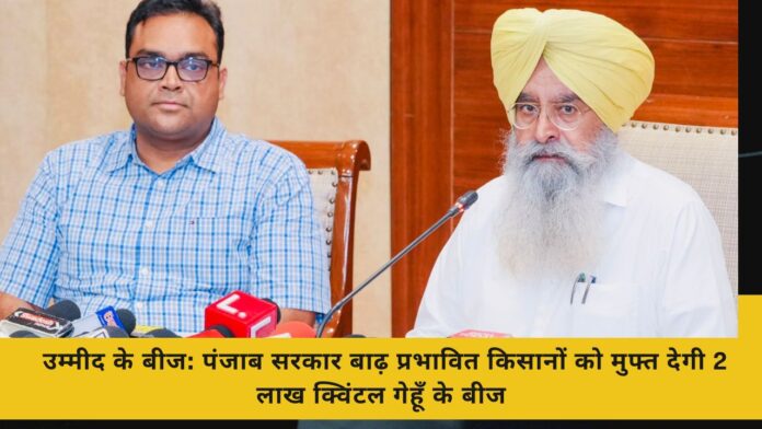 उम्मीद के बीज: पंजाब सरकार बाढ़ प्रभावित किसानों को मुफ्त देगी 2 लाख क्विंटल गेहूँ के बीज