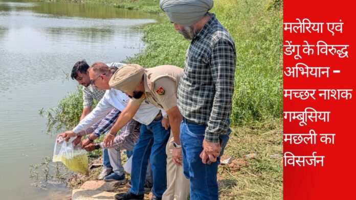 मलेरिया एवं डेंगू के विरुद्ध अभियान – मच्छर नाशक गम्बूसिया मछली का विसर्जन