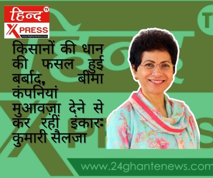 किसानों की धान की फसल हुई बर्बाद, बीमा कंपनियां मुआवज़ा देने से कर रहीं इंकार: कुमारी सैलजा