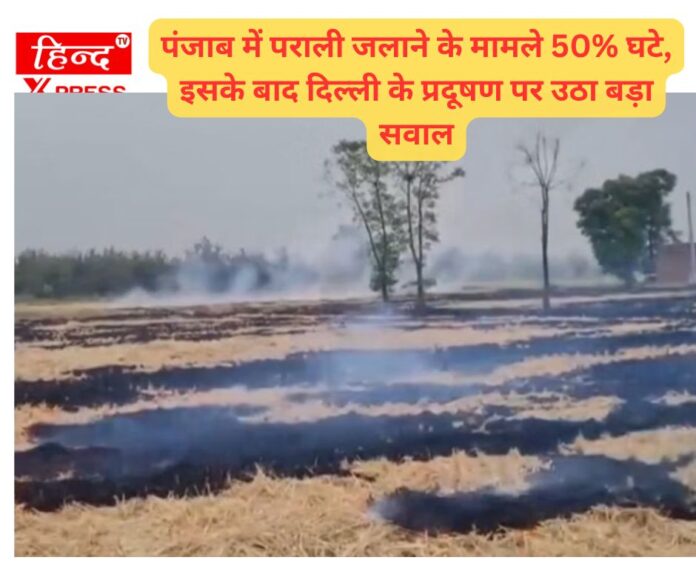 पंजाब में पराली जलाने के मामले 50% घटे, इसके बाद दिल्ली के प्रदूषण पर उठा बड़ा सवाल