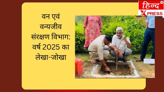 वन एवं वन्यजीव संरक्षण विभाग: वर्ष 2025 का लेखा-जोखा