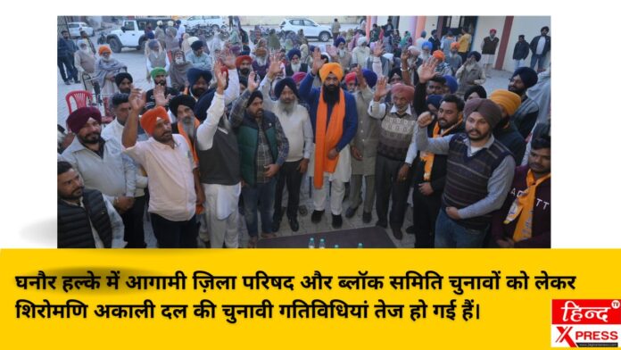 घनौर हल्के में आगामी ज़िला परिषद और ब्लॉक समिति चुनावों को लेकर शिरोमणि अकाली दल की चुनावी गतिविधियां तेज हो गई हैं।