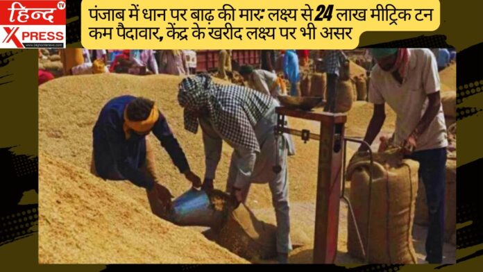 पंजाब में धान पर बाढ़ की मार: लक्ष्य से 24 लाख मीट्रिक टन कम पैदावार, केंद्र के खरीद लक्ष्य पर भी असर