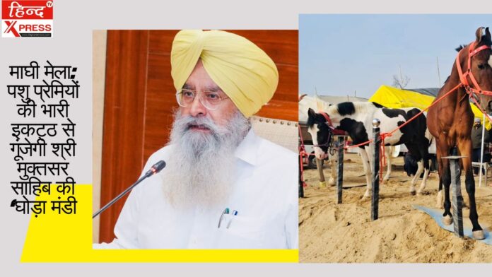 माघी मेला: पशु प्रेमियों की भारी इकट्ठ से गूंजेगी श्री मुक्तसर साहिब की ‘घोड़ा मंडी