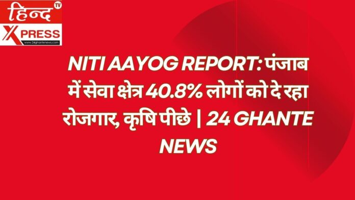 NITI Aayog Report: पंजाब में सेवा क्षेत्र 40.8% लोगों को दे रहा रोजगार, कृषि पीछे | 24 Ghante News