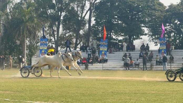 कृषि मंत्री गुरमीत सिंह खुड्डियां ने 12 साल बाद बैलगाड़ी की दौड़ों की शुरुआत के साथ किला रायपुर ग्रामीण ओलंपिक-2026 का किया उद्घाटन