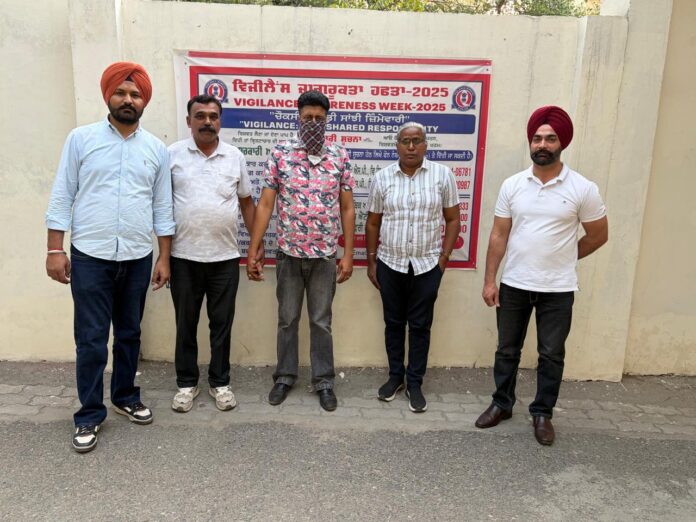 विजिलेंस ब्यूरो द्वारा 15,000 रुपये रिश्वत लेते पटवारी को रंगे हाथों काबू किया गया